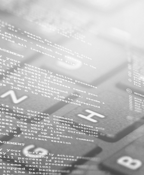 提供设计PSD原文件，提供网站程序源代码